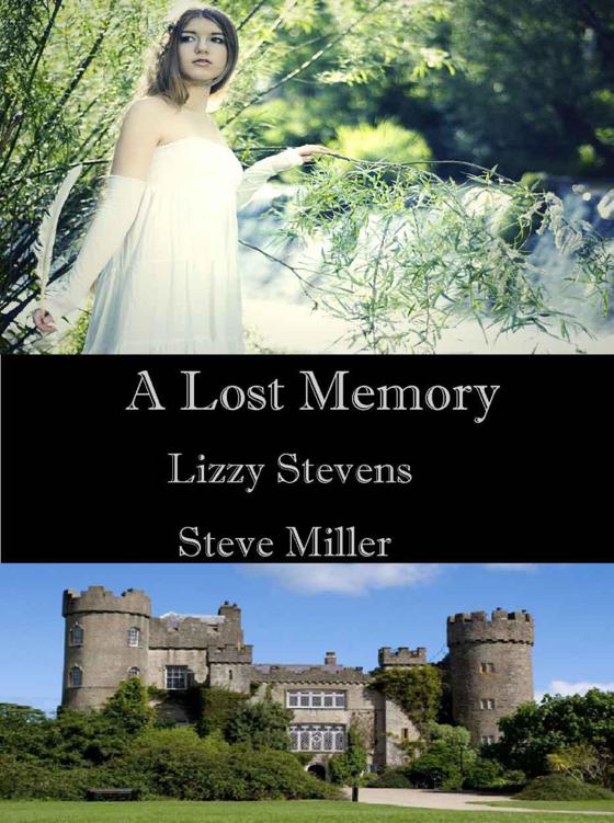 A Lost Memory by Stevens, Lizzy