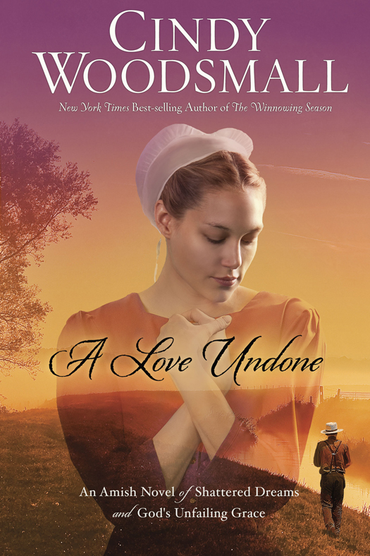 A Love Undone (2014)