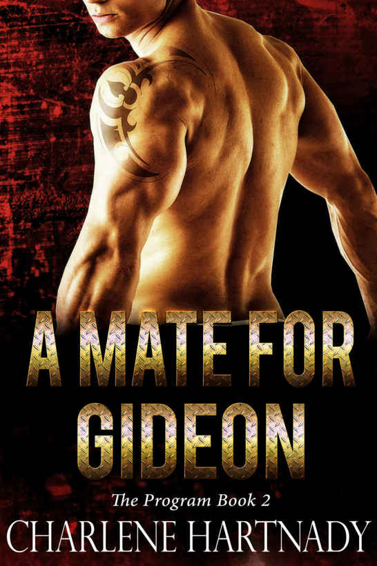 A Mate for Gideon by Charlene Hartnady
