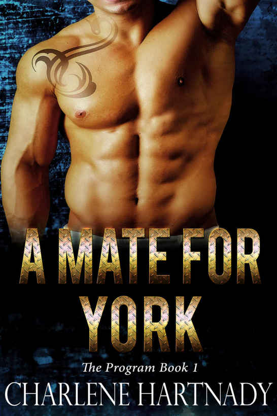 A Mate for York by Charlene Hartnady