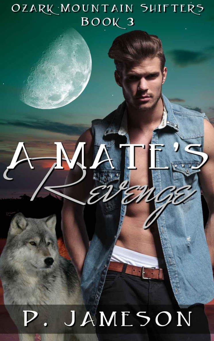 A Mate's Revenge by P. Jameson