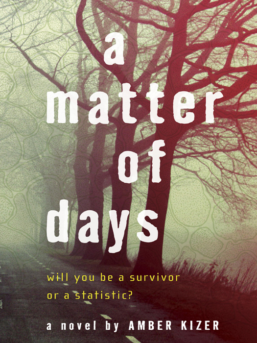 A Matter of Days (2013) by Amber Kizer