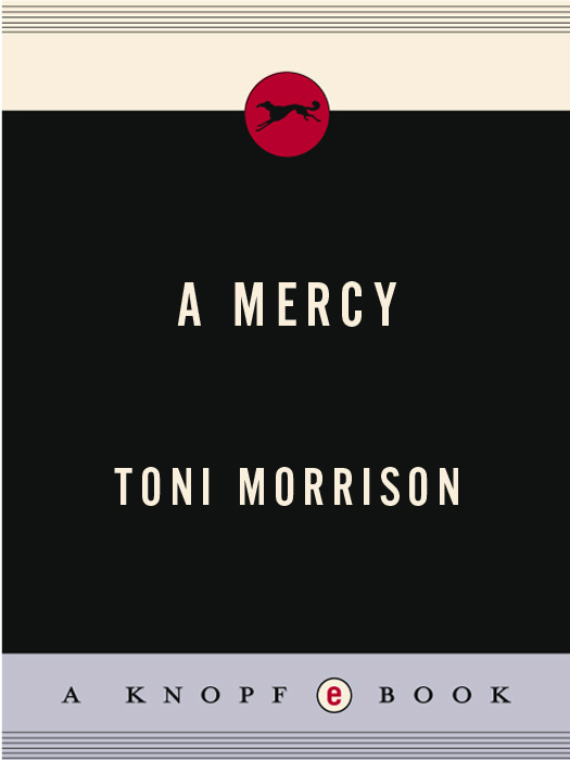 A Mercy (2008) by Toni Morrison