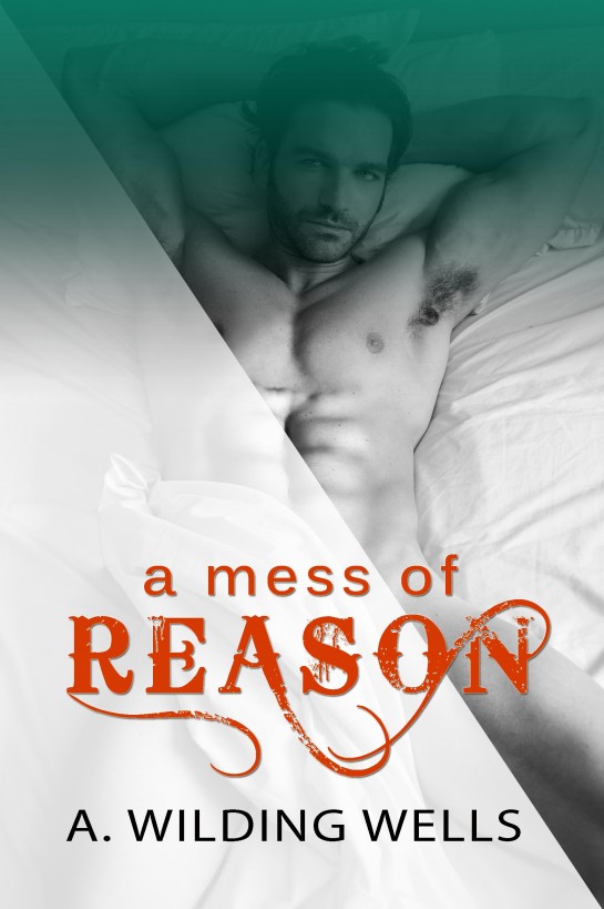 A Mess of Reason by A. Wilding Wells