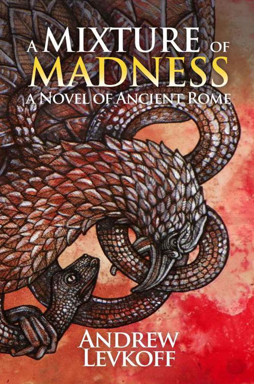 A Mixture of Madness, Book II of The Bow of Heaven by Levkoff, Andrew