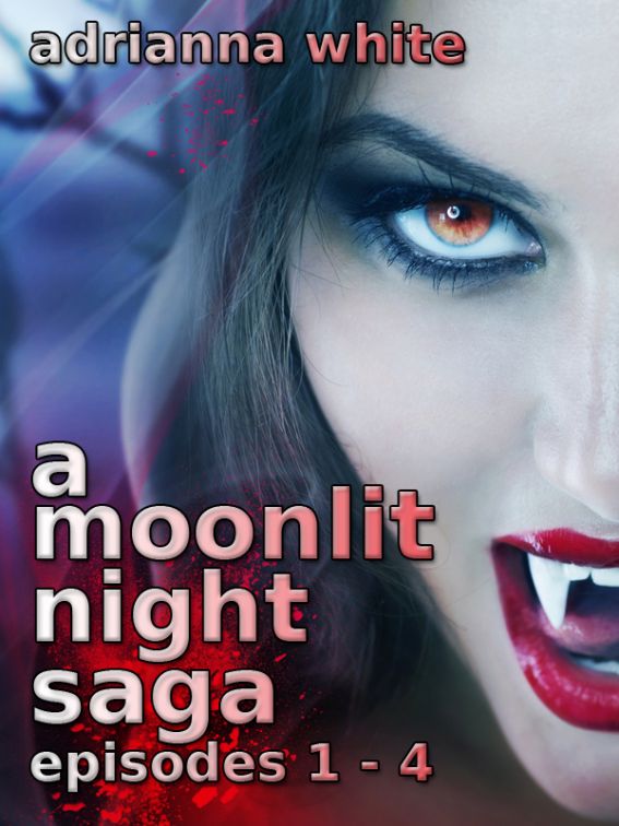 A Moonlit Night Saga: Episodes 1 - 4 by Adrianna White