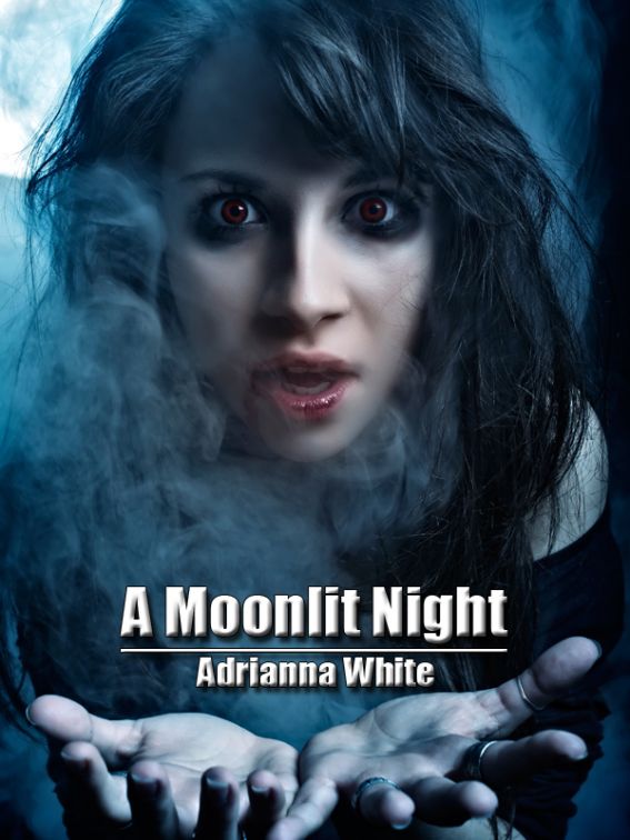 A Moonlit Night by Adrianna White