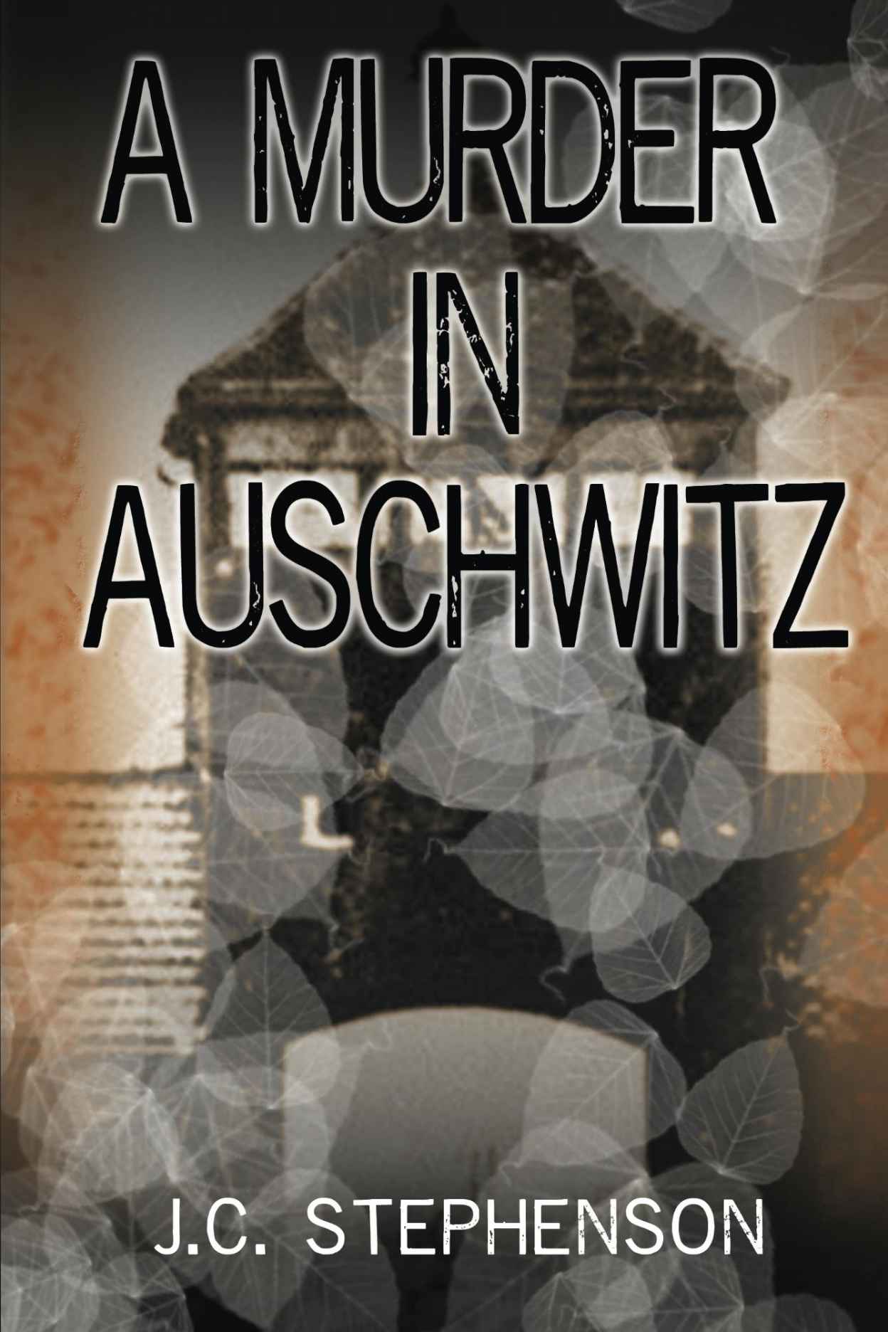 A Murder in Auschwitz by J.C. Stephenson