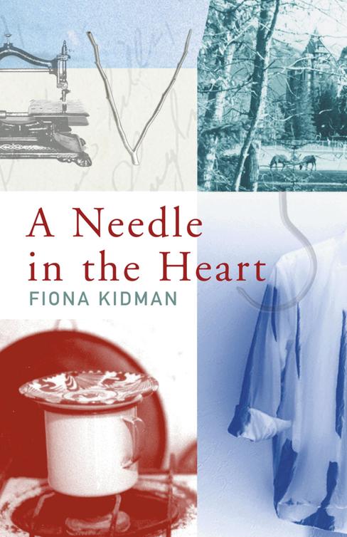 A Needle in the Heart (2012) by Fiona Kidman