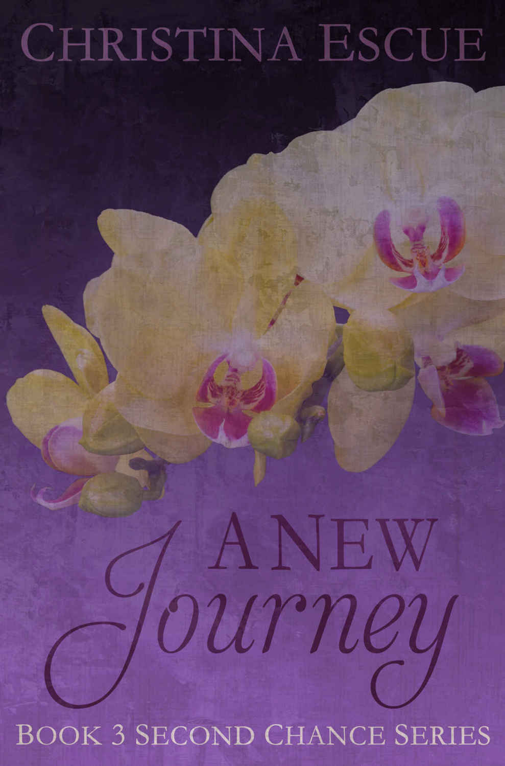 A New Journey (Second Chance #3)