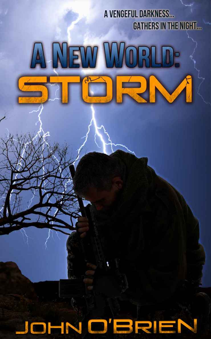 A New World 10 - Storm by John   O'Brien
