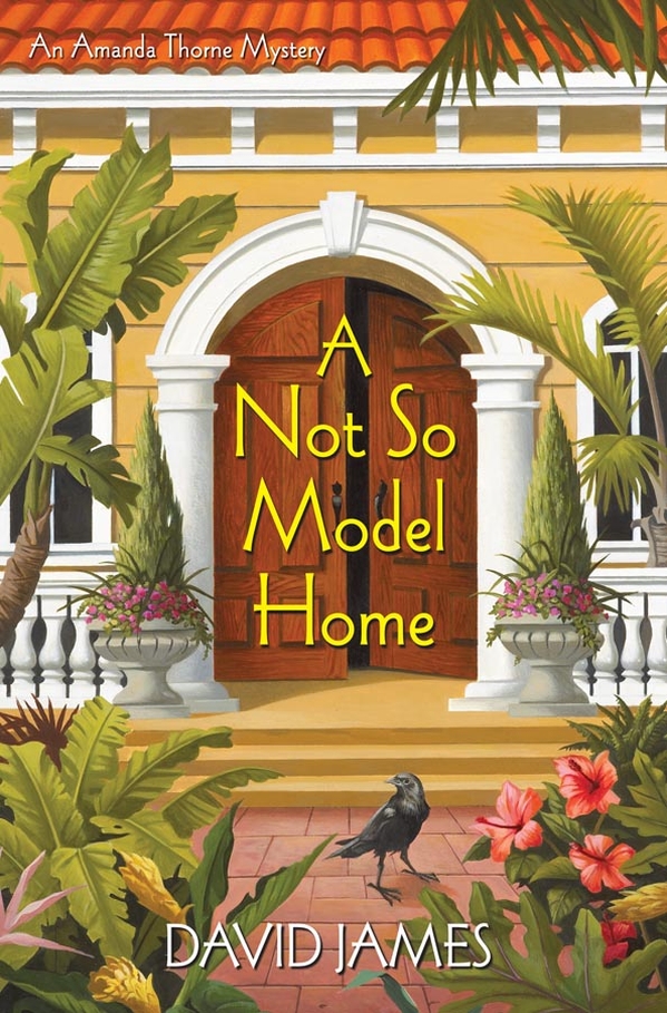 A Not So Model Home (2012) by David James