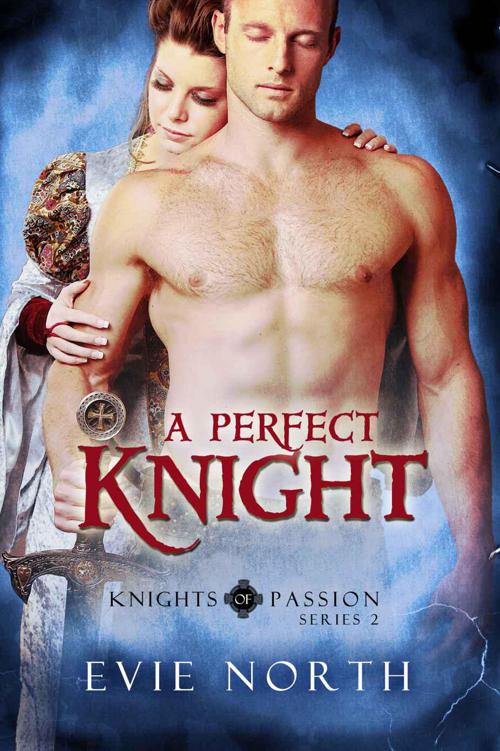 A Perfect Knight (Knights of Passion Series 2) by North, Evie