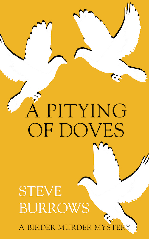 A Pitying of Doves (2015) by Steve Burrows