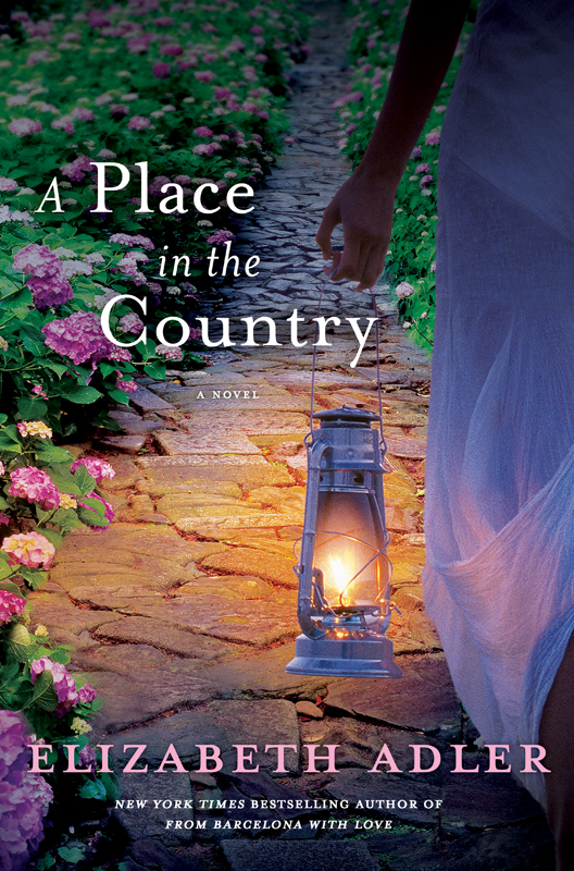 A Place in the Country by Elizabeth Adler