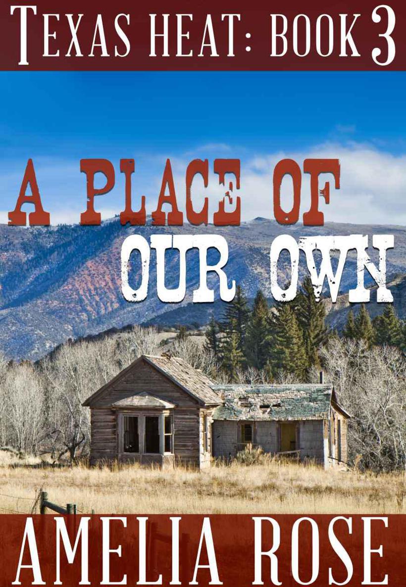 A Place Of Our Own (Contemporary Cowboy Romance) (Texas Heat series: Book 3, Jim and Maddies story)