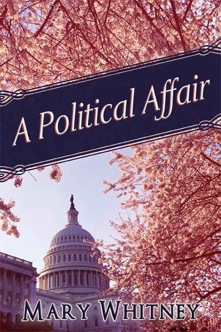 A Political Affair