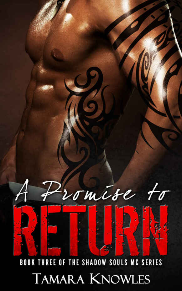 A Promise to Return (Shadow Souls MC Book 3) by Tamara Knowles