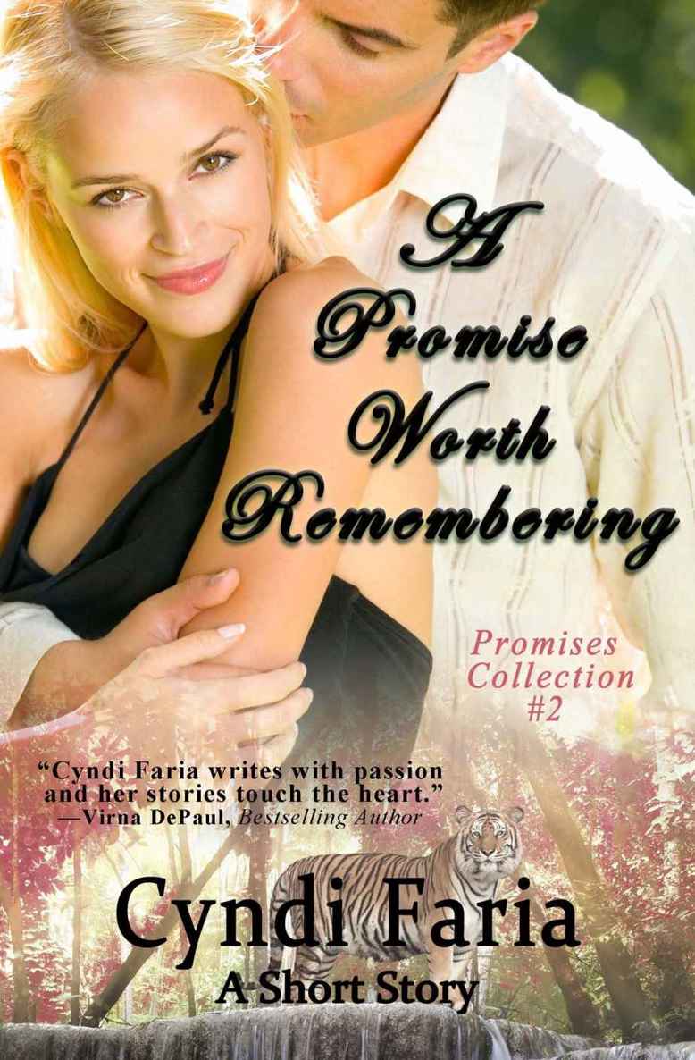 A Promise Worth Remembering (Promises Collection) by Faria, Cyndi