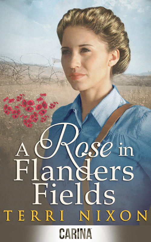 A Rose In Flanders Fields (2014) by Terri Nixon