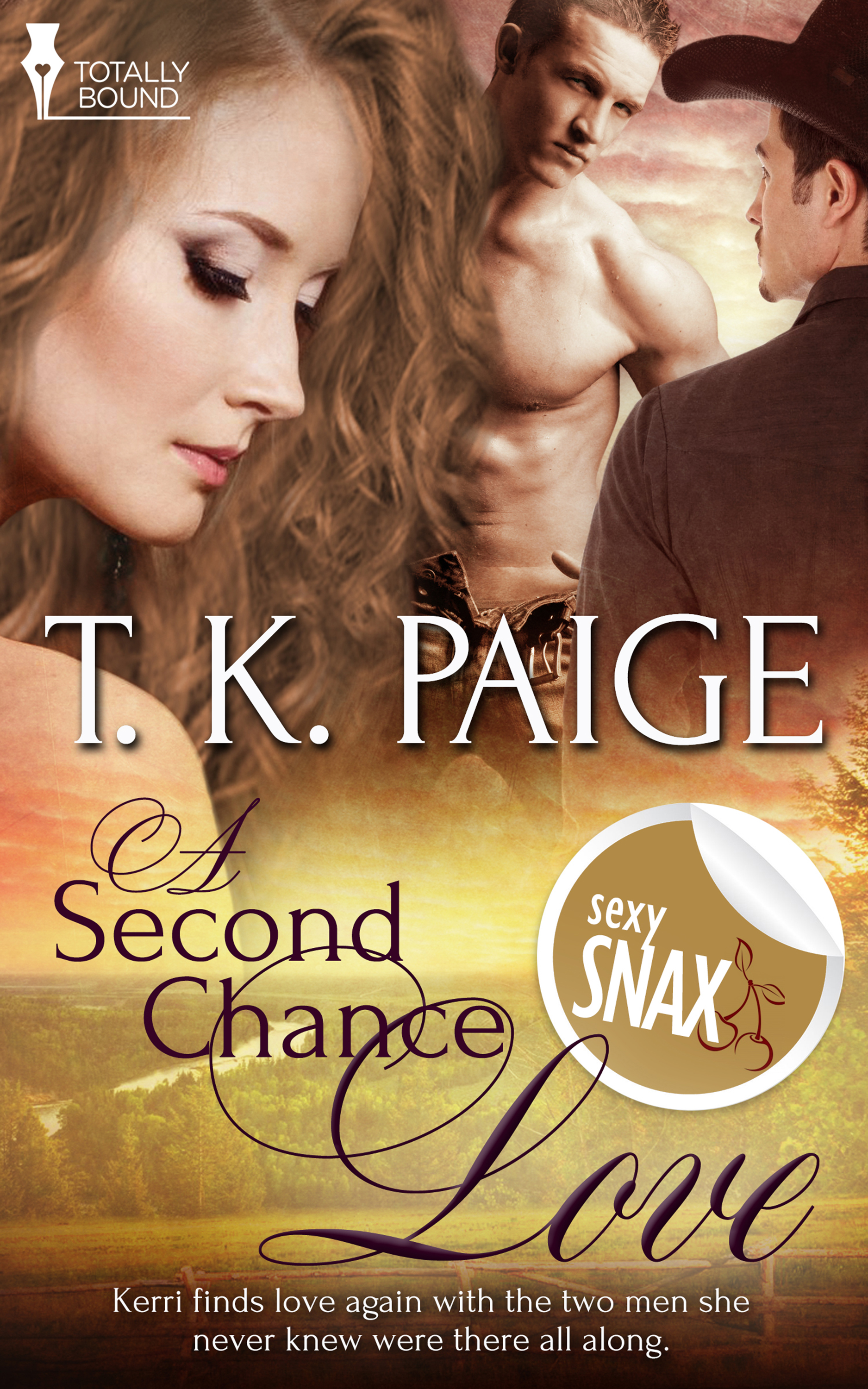 A Second Chance Love (2014) by T.K. Paige