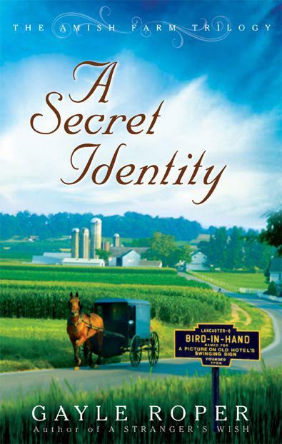 A Secret Identity by Gayle Roper