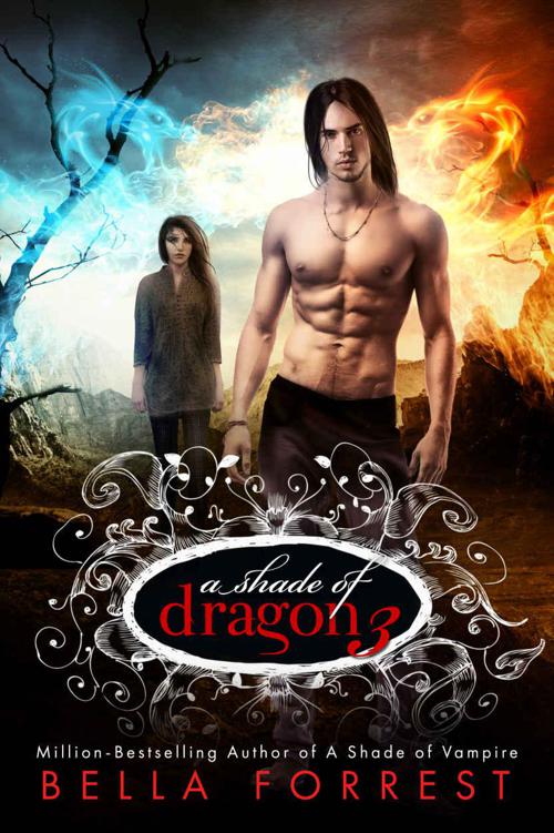 A Shade of Dragon 3 by Forrest, Bella