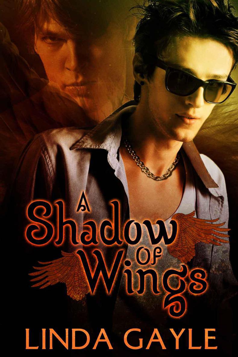 A Shadow of Wings by Gayle, Linda