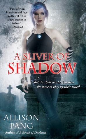 A Sliver of Shadow (2012)