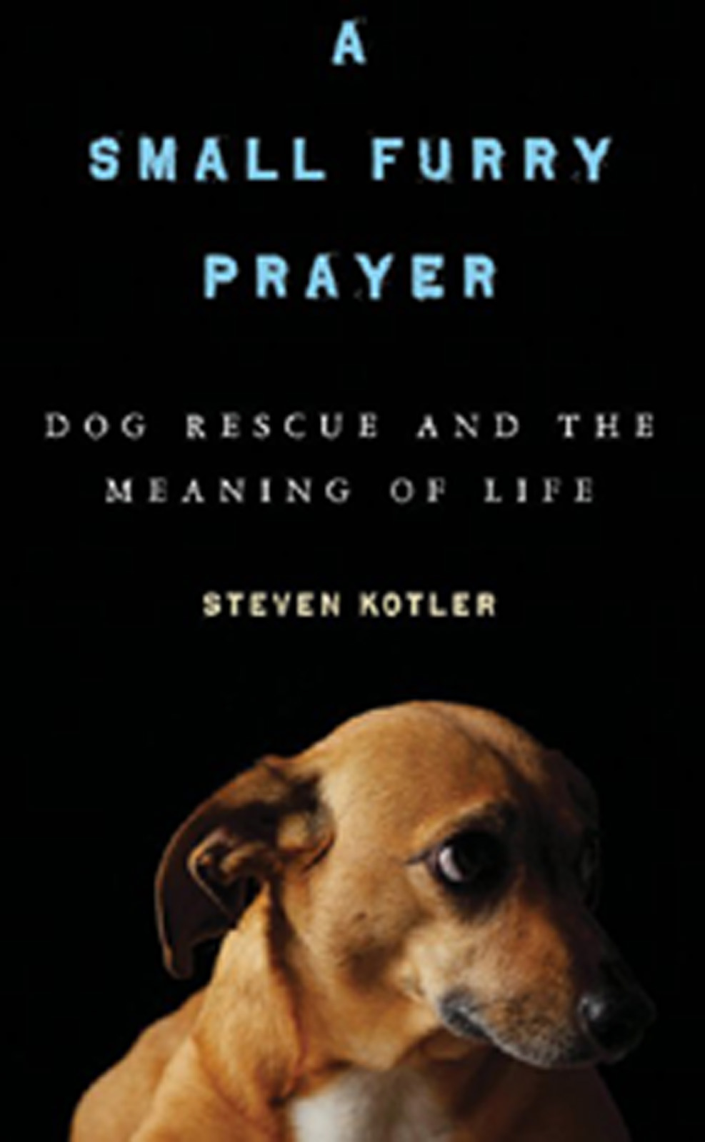 A Small Furry Prayer (2010) by Steven Kotler