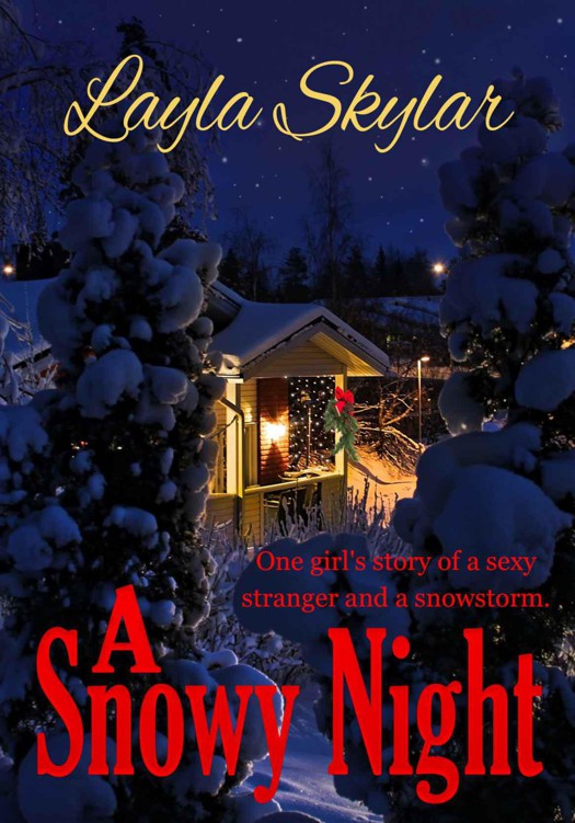 A Snowy Night by Skylar, Layla