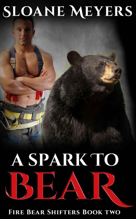 A Spark to Bear (Fire Bear Shifters Book 2) by Sloane Meyers