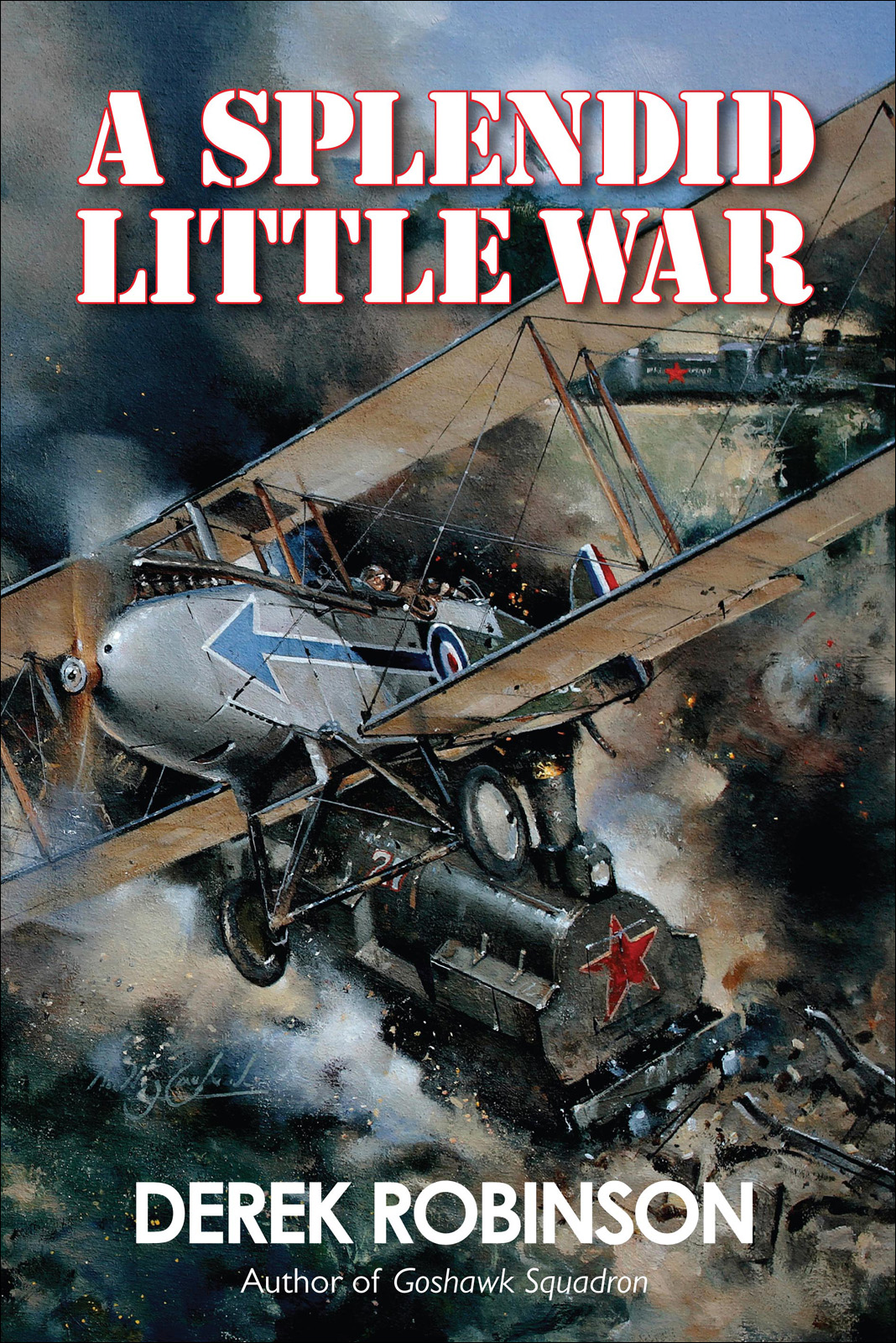 A Splendid Little War by Derek Robinson