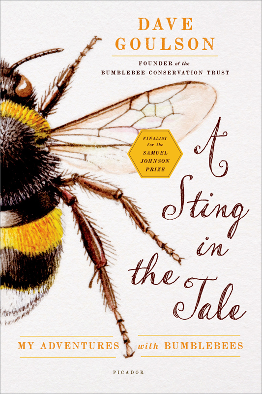 A Sting in the Tale by Dave Goulson