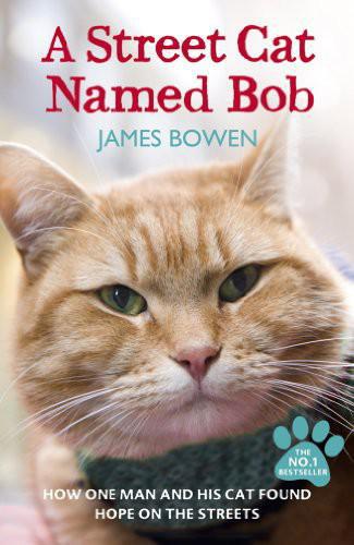 A Street Cat Named Bob by James   Bowen