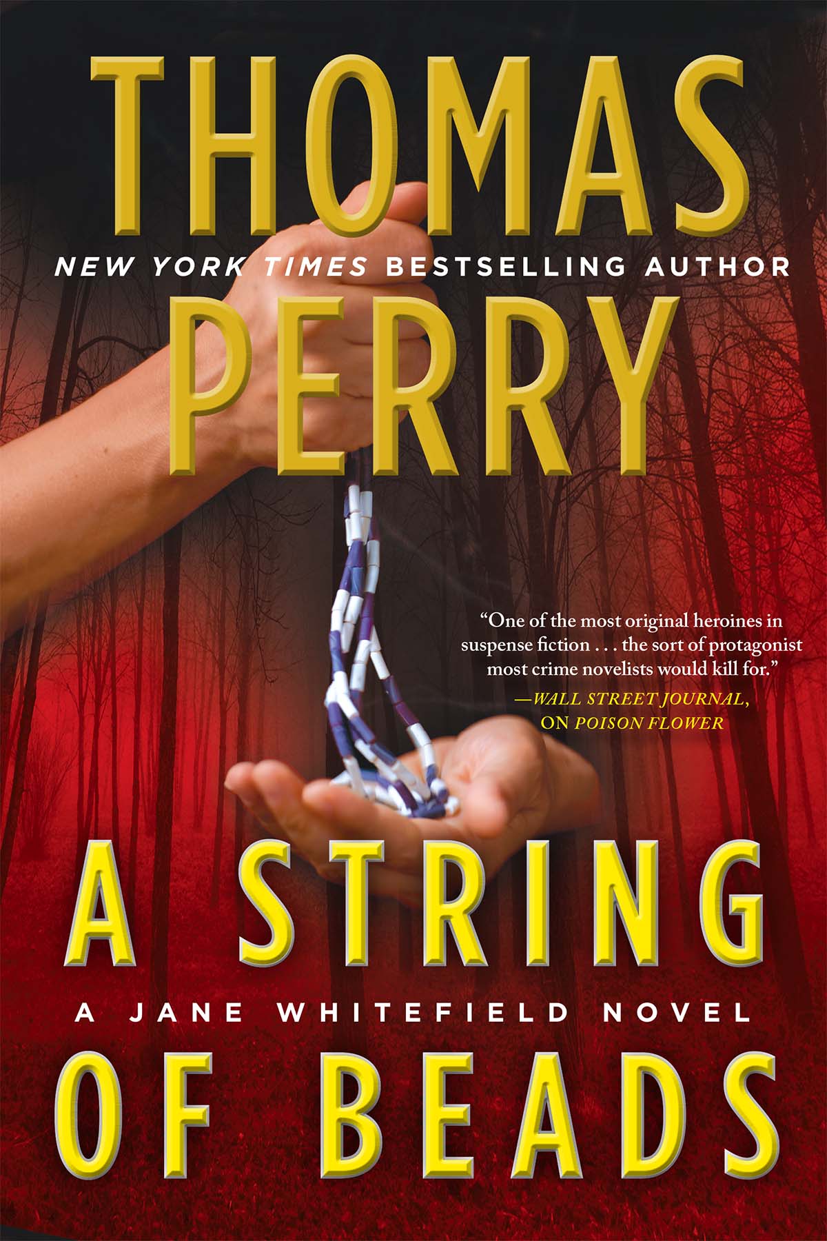 A String of Beads (2014) by Thomas Perry