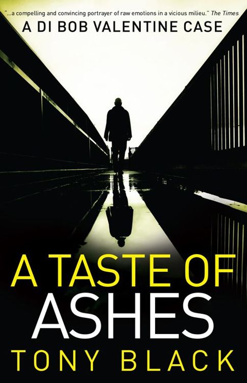 A Taste of Ashes (DI Bob Valentine Book 2)