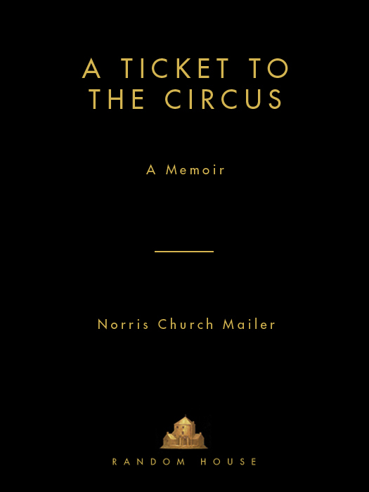 A Ticket to the Circus (2010)