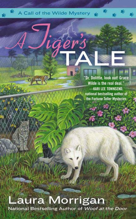 A Tiger's Tale (A Call of the Wilde Mystery) by Laura Morrigan