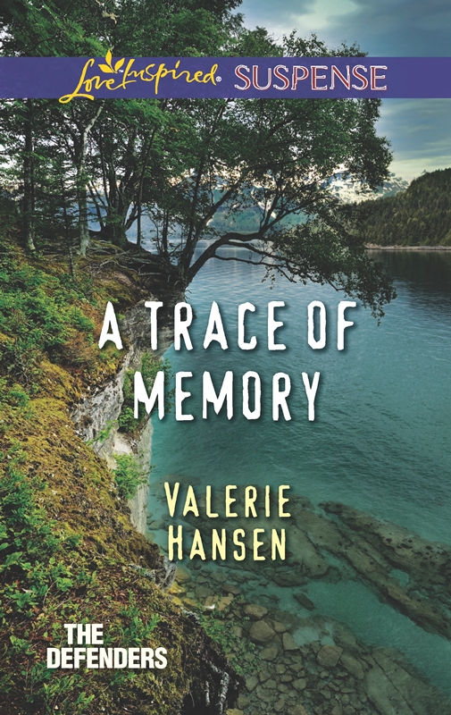 A Trace of Memory (2014) by Valerie Hansen