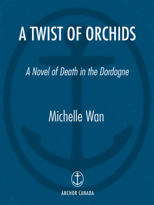 A Twist of Orchids (2008) by Michelle Wan