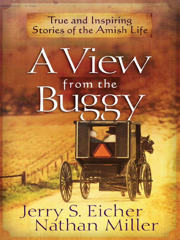 A View from the Buggy by Jerry S. Eicher