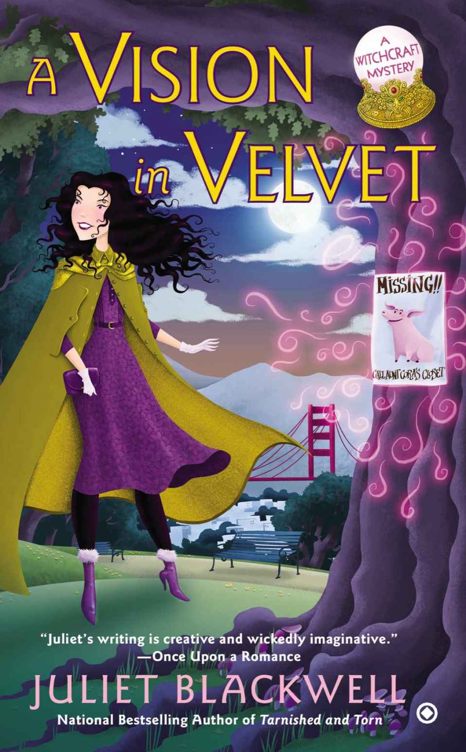 A Vision in Velvet: A Witchcraft Mystery by Juliet Blackwell