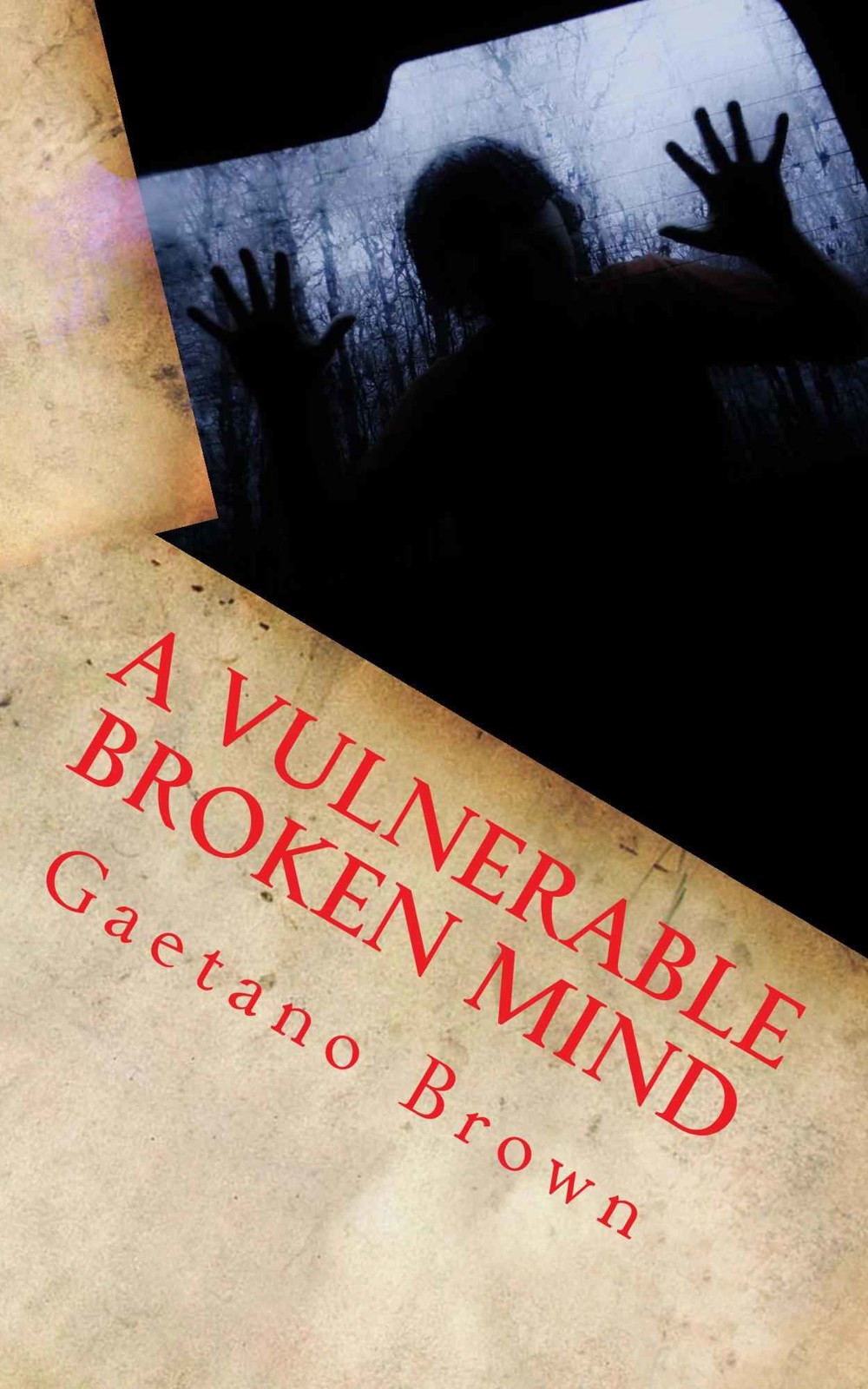 A Vulnerable Broken Mind by Gaetano Brown