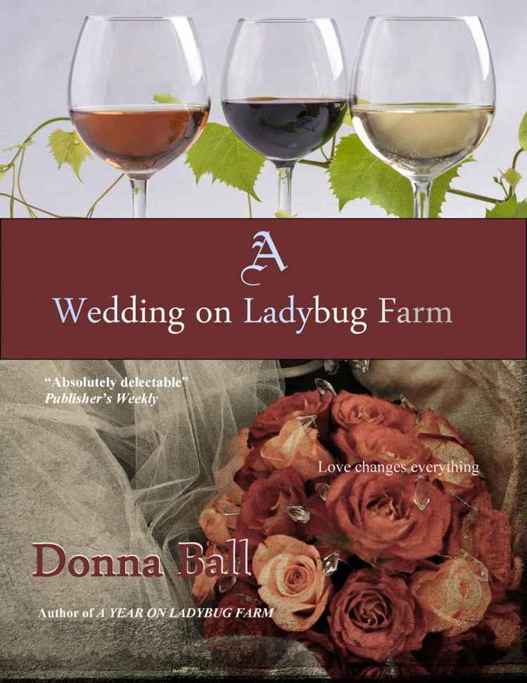 A Wedding on Ladybug Farm by Donna Ball