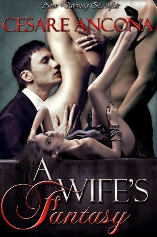 A Wife's Fantasy by New Dawning Books