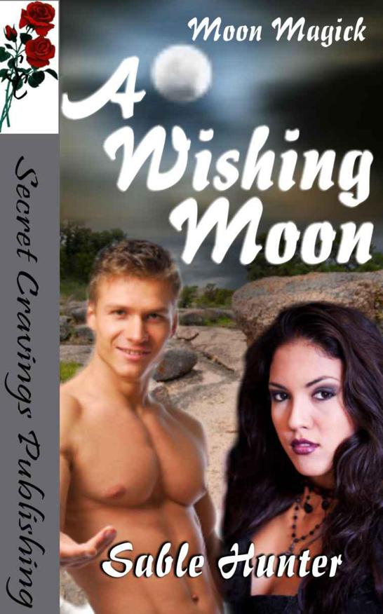 A Wishing Moon by Sable Hunter