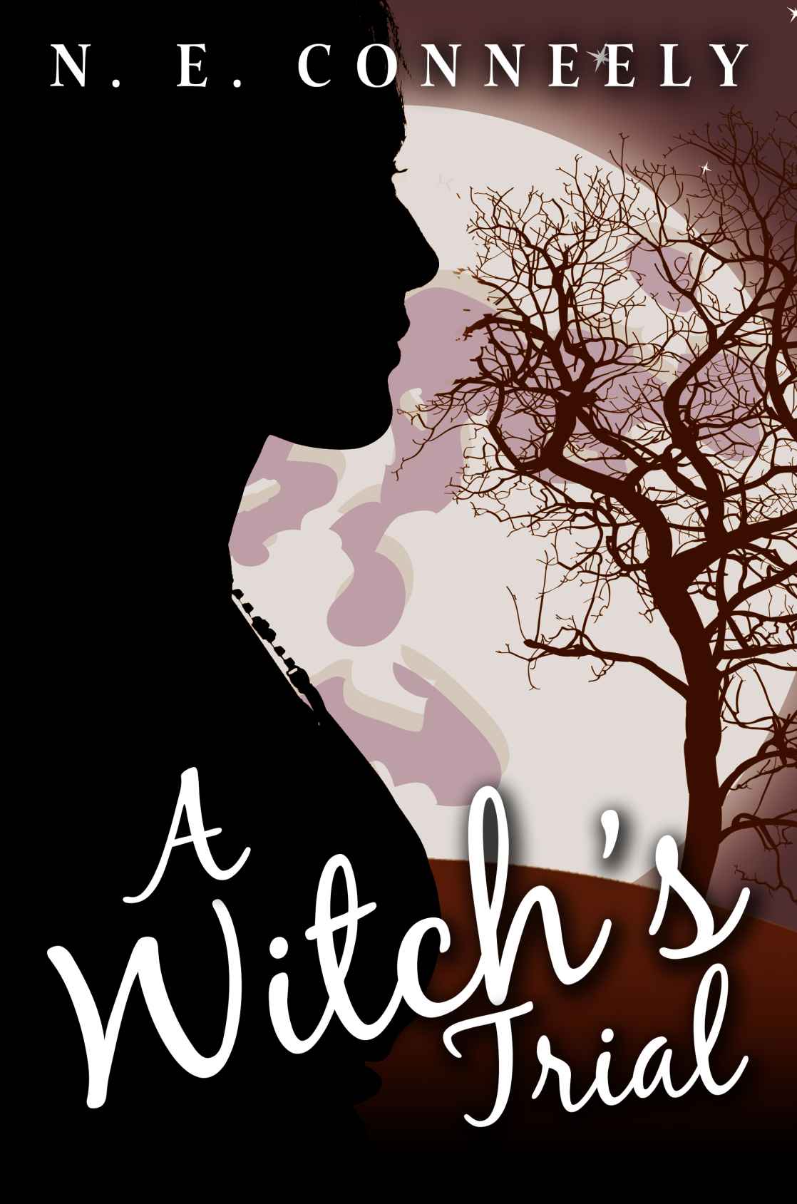 A Witch's Trial (Witch's Path Series: Book 3) by N. E. Conneely