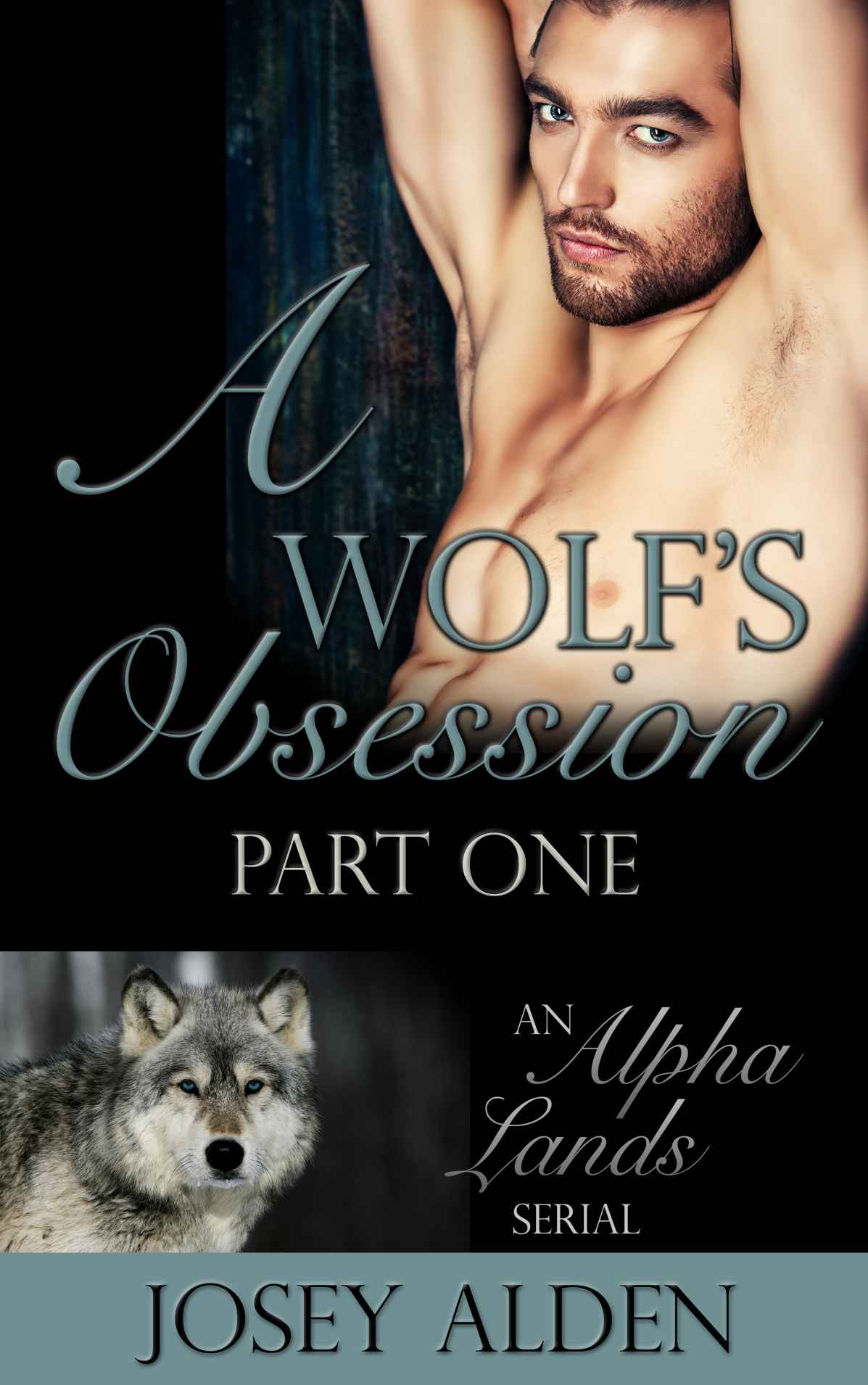 A Wolf's Obsession: Part One: (BBW/Shapeshifter Paranormal Romance) (Alpha Lands Serial)