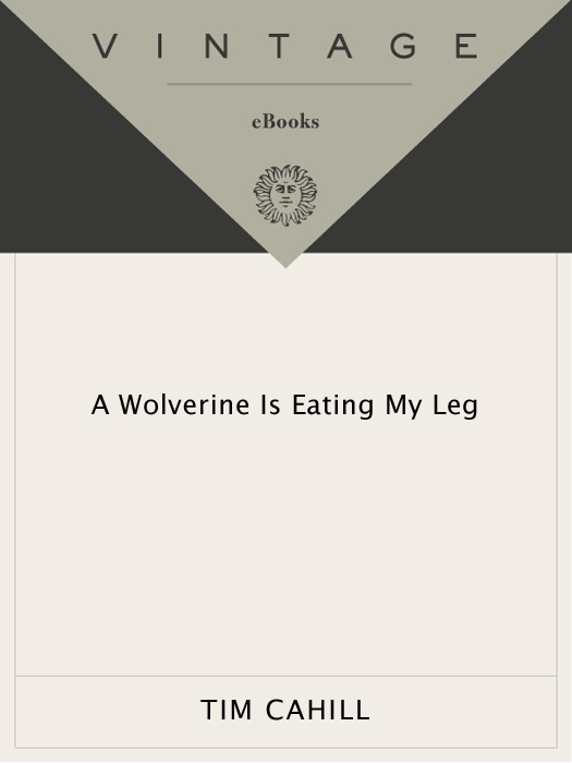 A Wolverine Is Eating My Leg (2011)